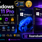 Windows 10 / 11 Pro